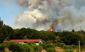 Toscana Incendio Monte Serra