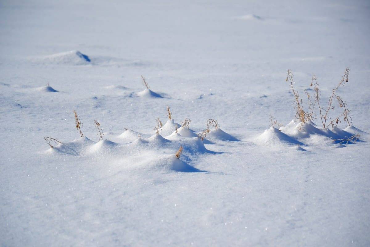 Meteo e Neve