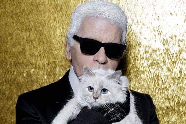 Prima di morire, il noto stilista Karl Lagerfeld, ha ammesso di aver intestato alcuni beni alla sua gatta Choupette. Ha dichiarato, inoltre, che chi la accudirà non rimarrà nella miseria