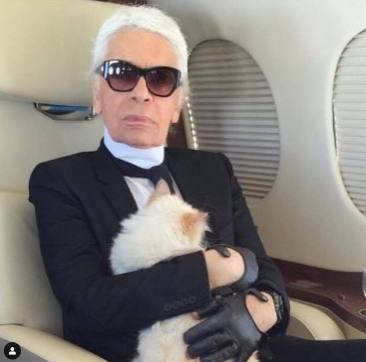 Karl Lagerfeld, parte della sua eredità andrà alla gatta Choupette