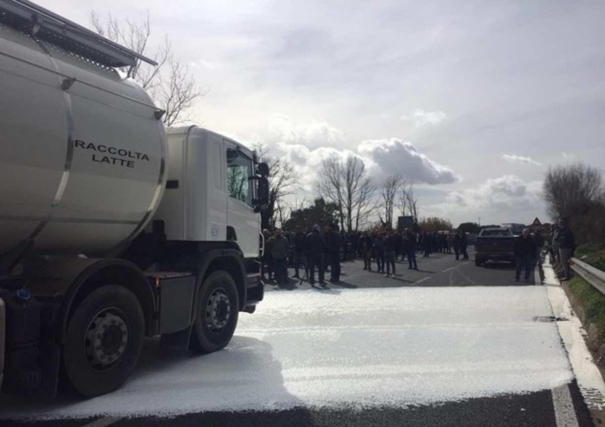 protesta latte pastori sardi indagati blocchi stradali