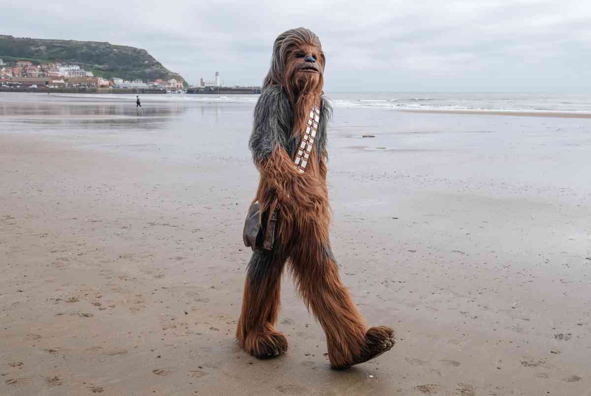 'Star Wars', morto Peter Mayhew: interpretò l'amatissimo Chewbecca