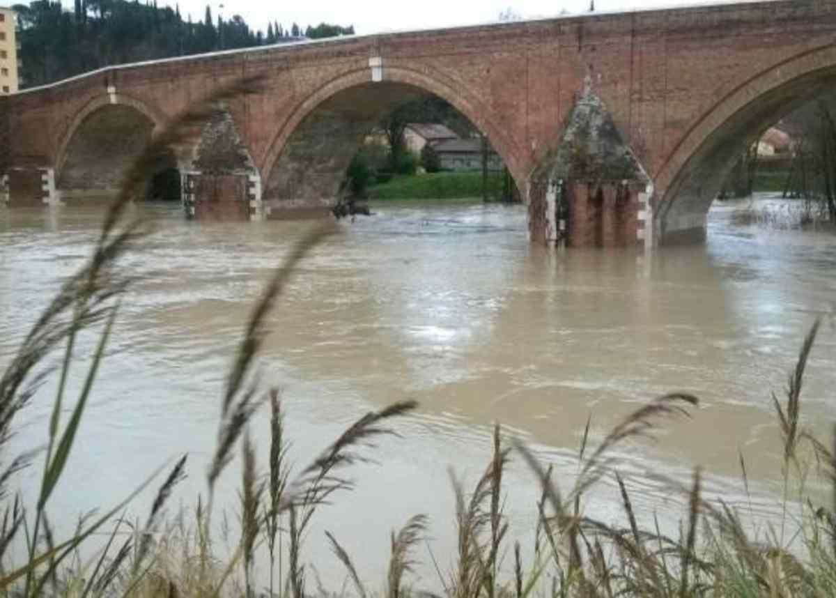 Donna accoltella uomo a Ravenna