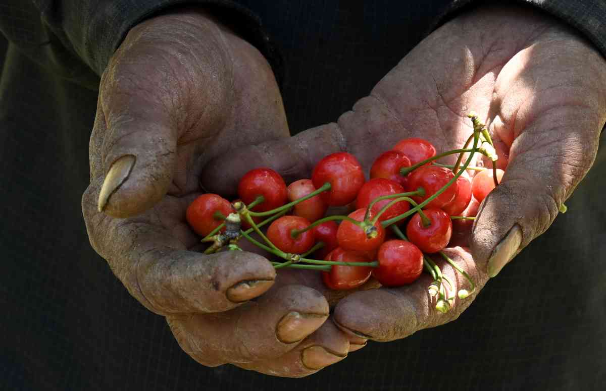 È arrivato giugno: festività del mese, curiosità e origine del nome