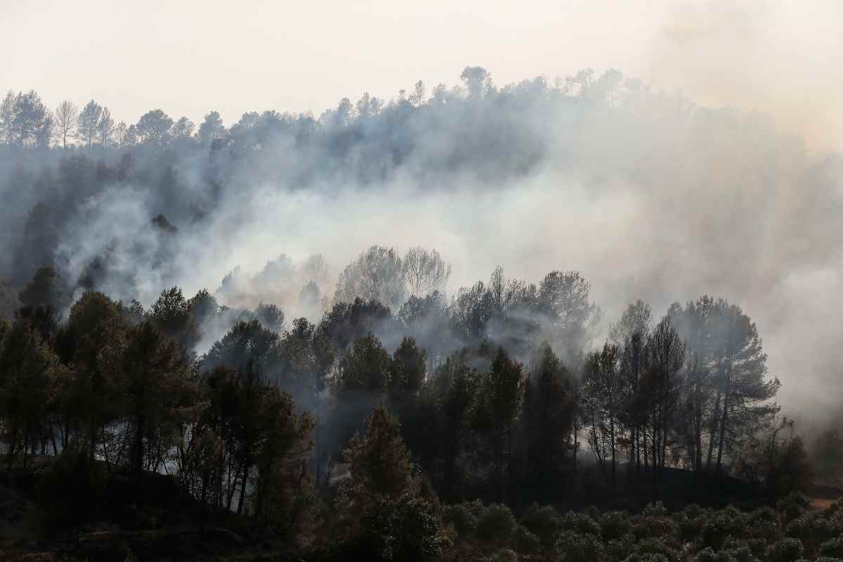 Catalogna, divampa un terribile incendio: il peggiore degli ultimi 20 anni