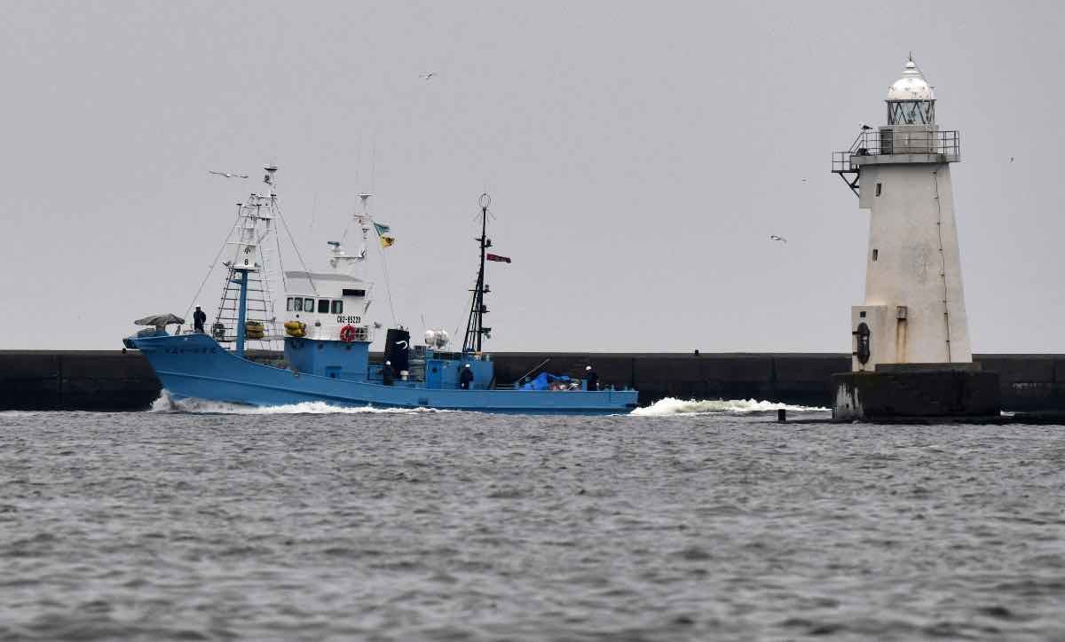 Giappone: riaperta la caccia alle balene per scopi commerciali