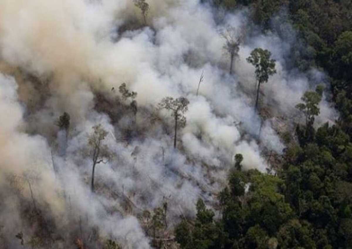 Incendio Brasile Amazzonia