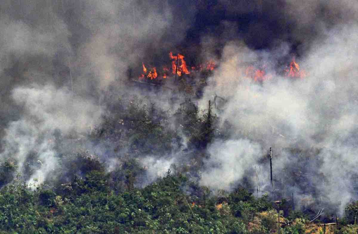 Climate Change, i progetti e le risposte dei Paesi mentre l'Amazzonia brucia