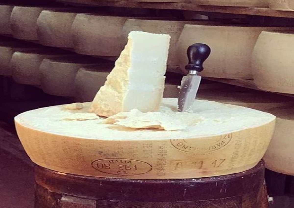 parmigiano