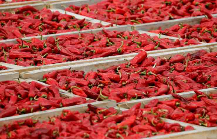 Pasta, peperoncino e caffè: ecco alcuni alimenti che salvano il cuore 