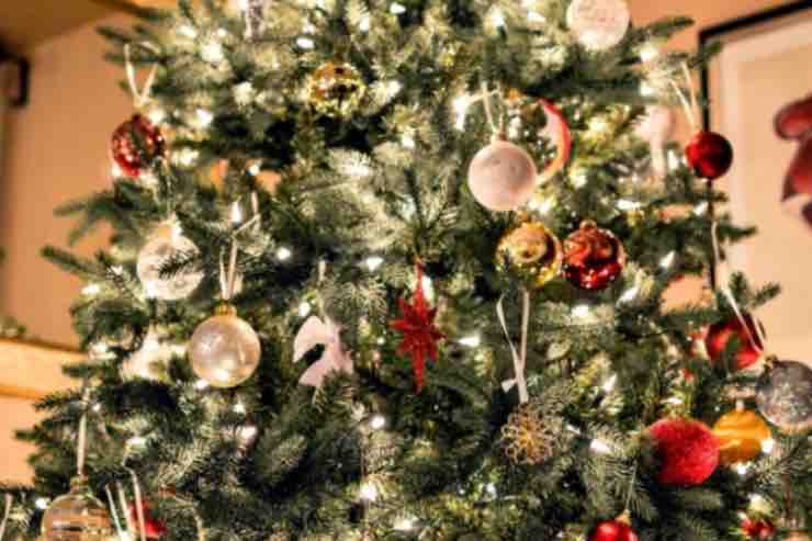 Natale, albero artificiale o naturale? Tutti i dettagli sulla scelta
