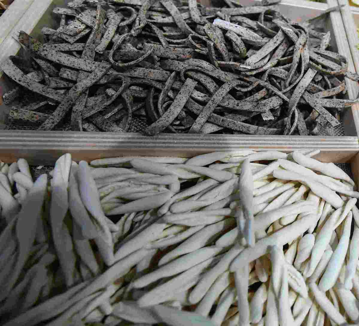 Pasta integrale VS pasta bianca