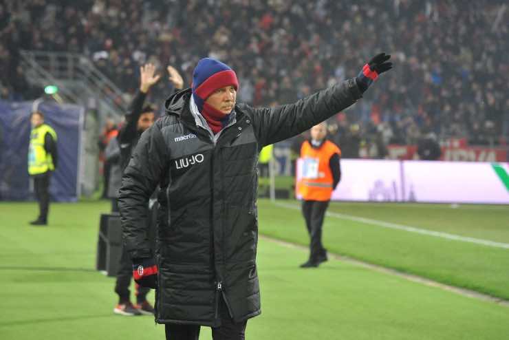 Mihajlovic, l'appello dell'allenatore del Bologna: "Donate il midollo"