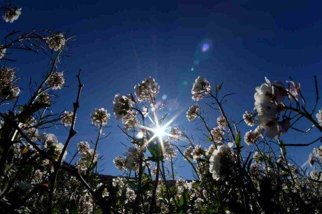 Meteo, temperature primaverili in arrivo 