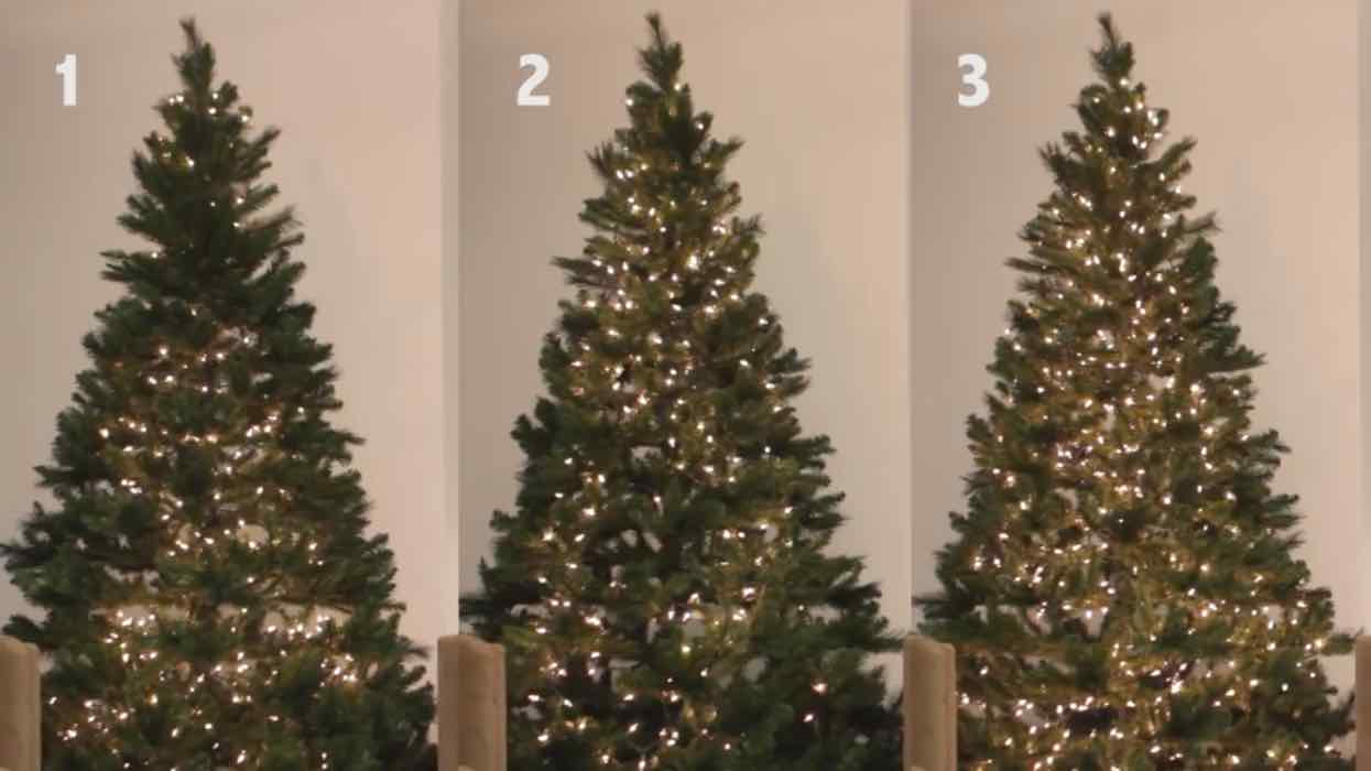 Natale, il trucco perfetto per addobbare l'albero - VIDEO