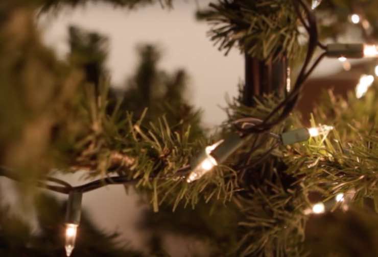 Natale, il trucco perfetto per addobbare l'albero - VIDEO