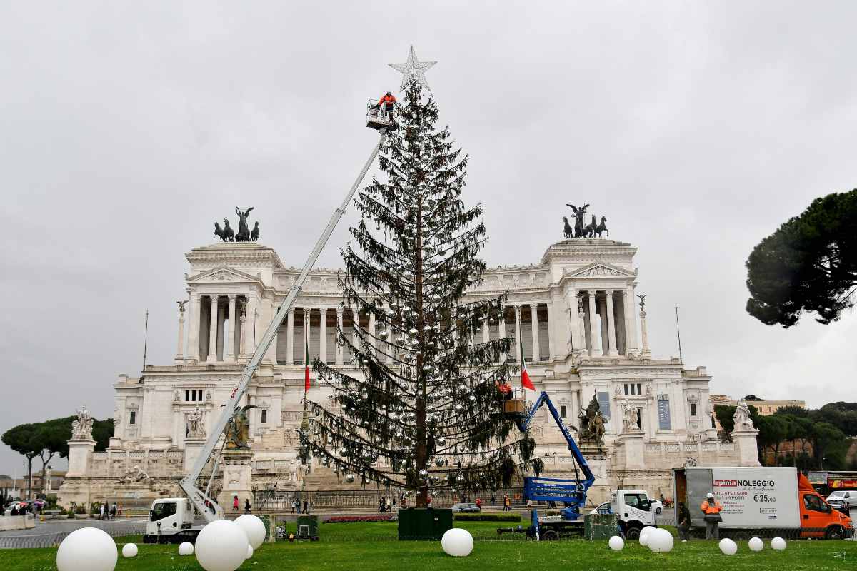 Spelacchio albero di Natale