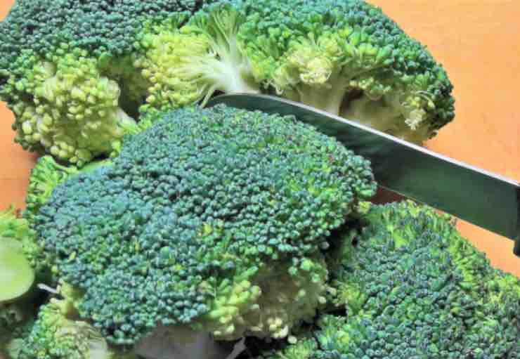 Broccoli, proprietà e miti da sfatare: ecco il parere degli esperti