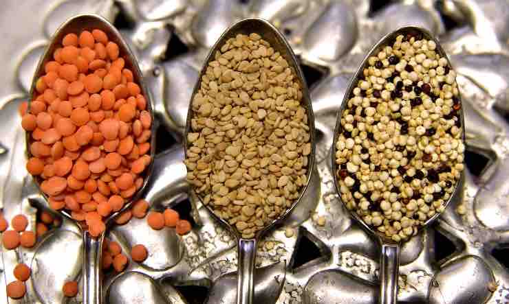 Lenticchie: ecco le proprietà e i benefici del gustoso legume