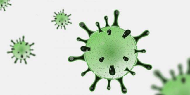 Coronavirus al microscopio