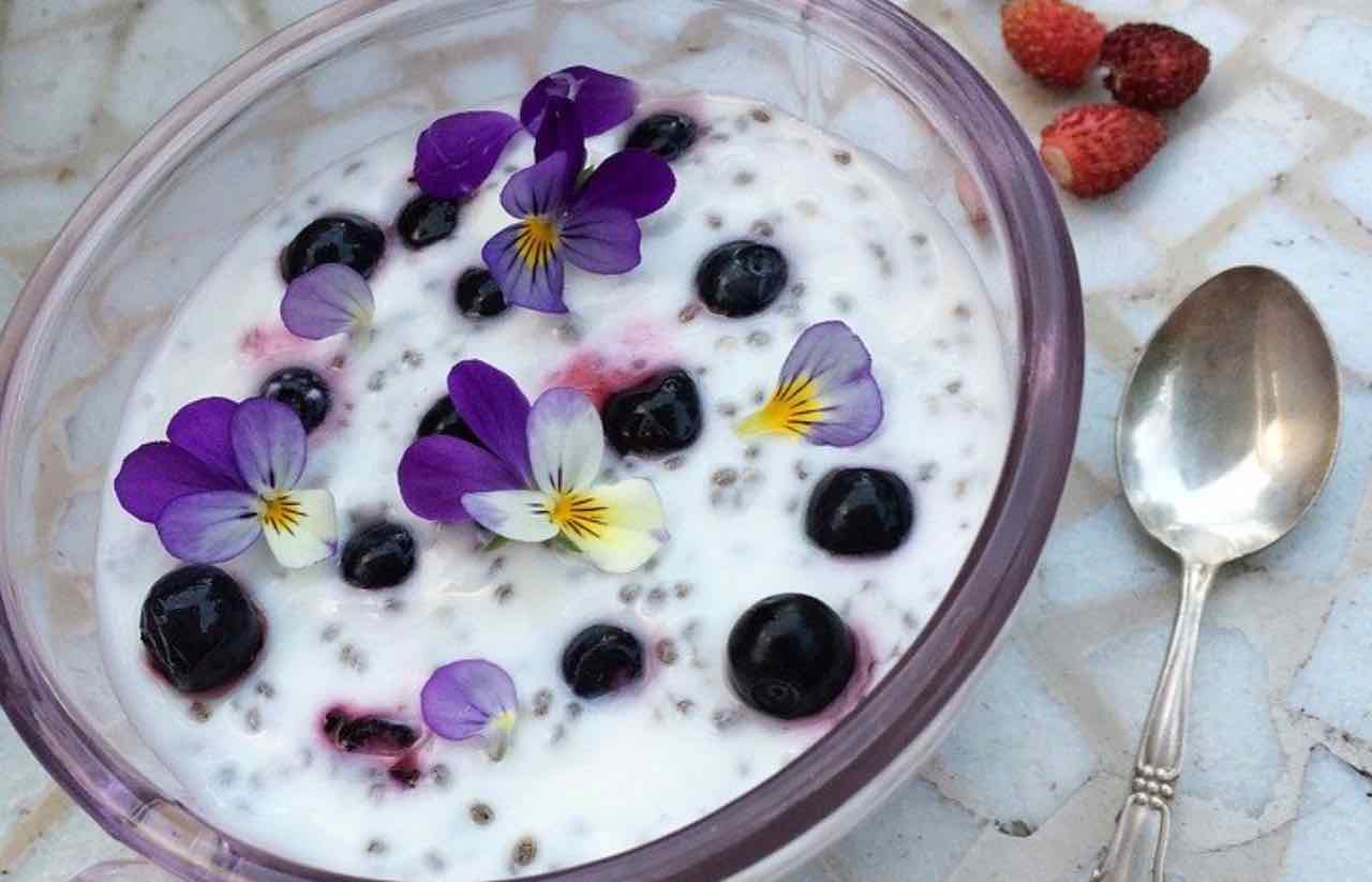 Fiori commestibili, profumati e saporiti: quali scegliere e ricette uniche