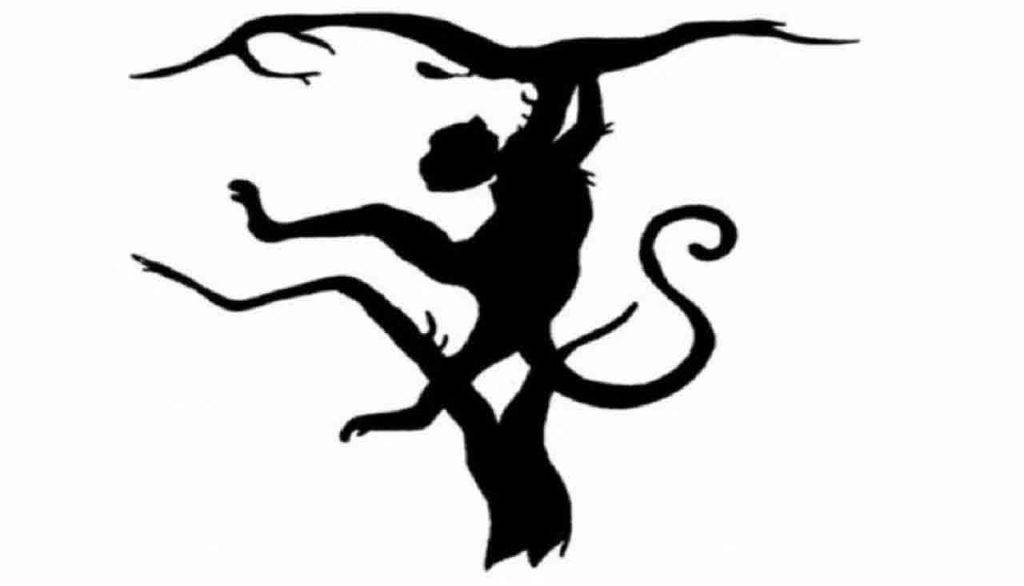 Test personalità: quale animale hai visto prima?