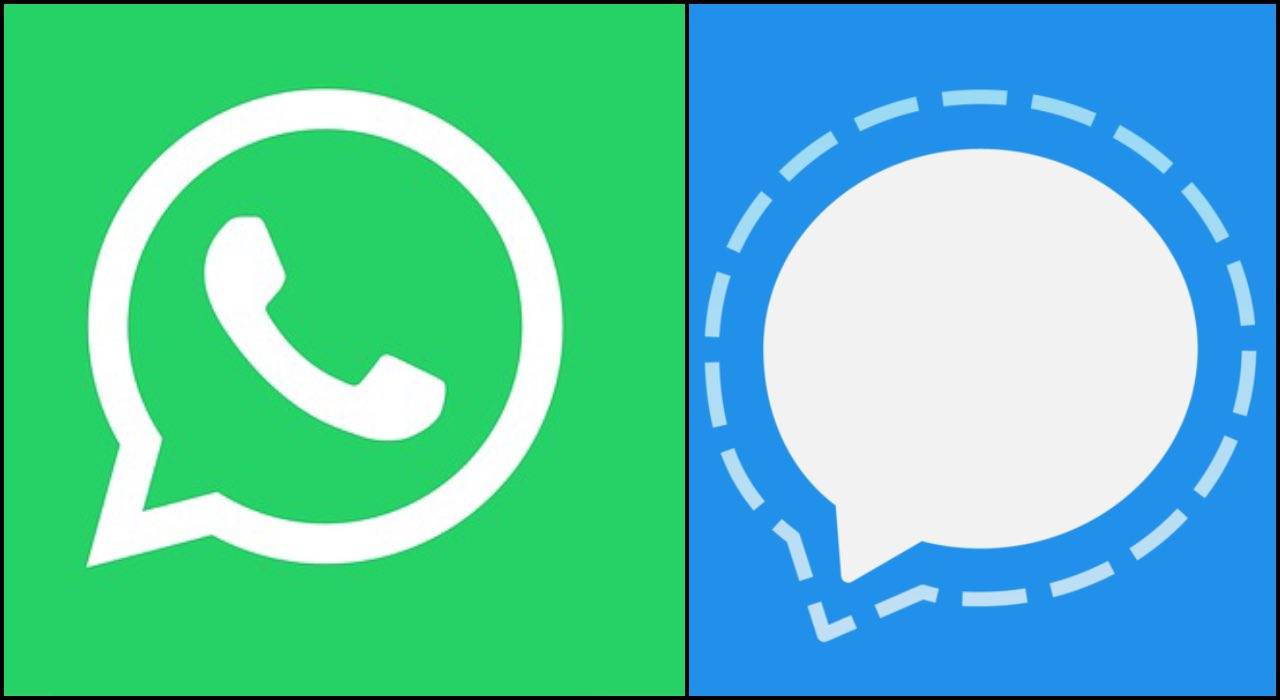 WhatsApp, arriva Signal: l'app che punta sulla sicurezza lancia la sfida