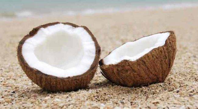 Cocco: proprietà e benefici per la salute di questo frutto esotico