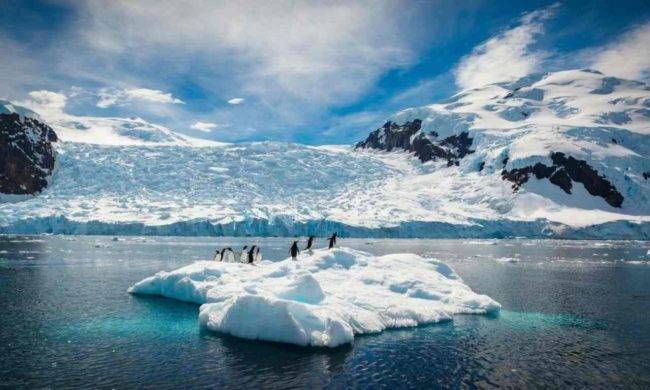 Caldo Antartide: temperature mai raggiunte, scompare la neve