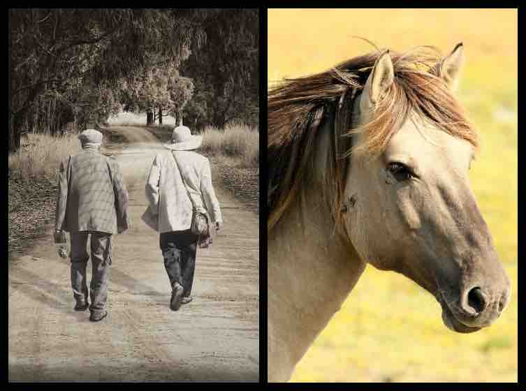 Test personalità: 4 figure, quella che vedi per prima ti dirà chi sei