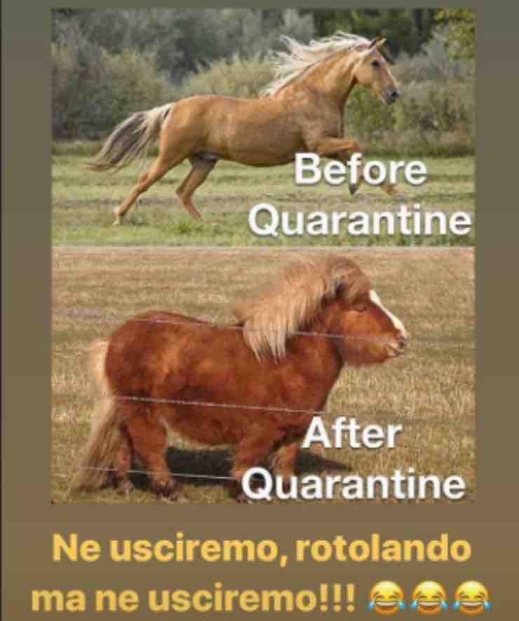 Laura Torrisi, splendida ai fornelli: poi la foto che fa ridere tutti