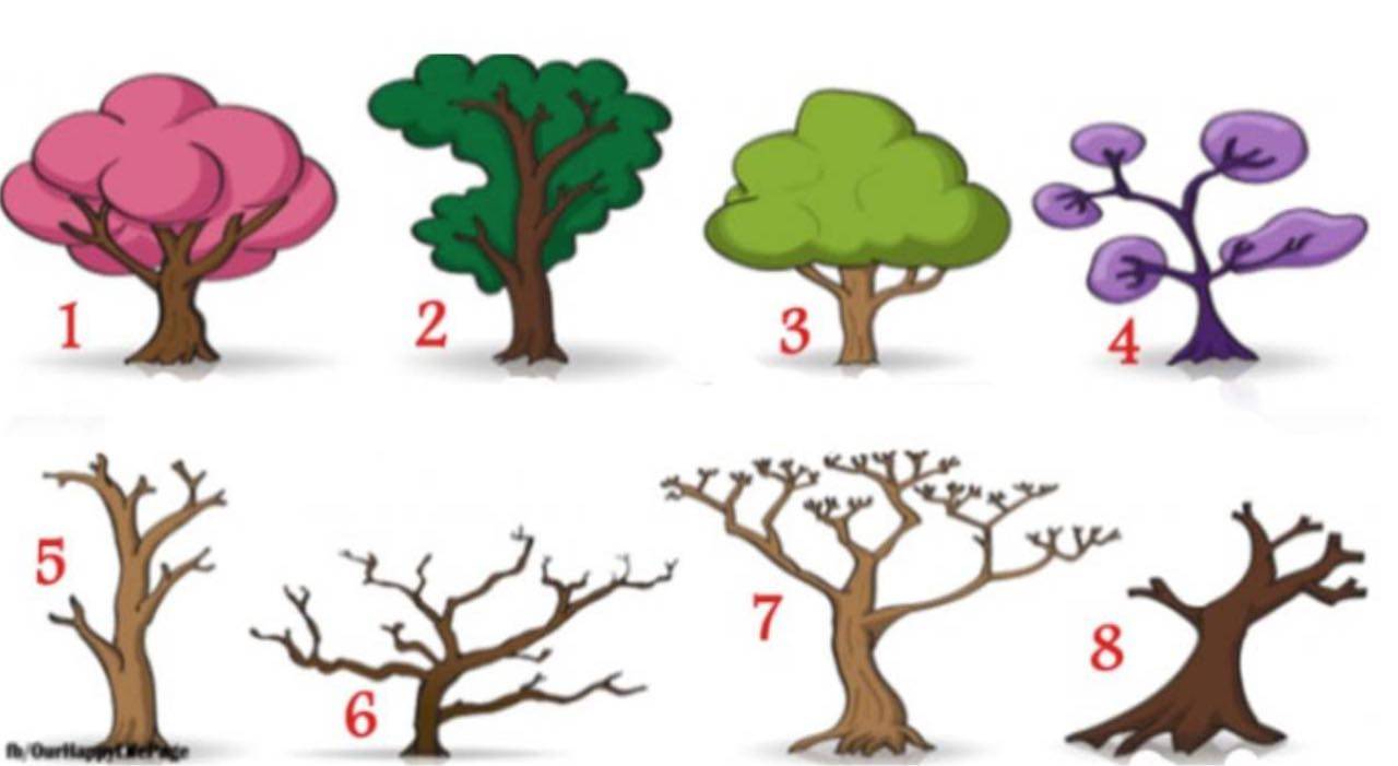 Test personalità: il primo albero che scegli ti dirà chi sei