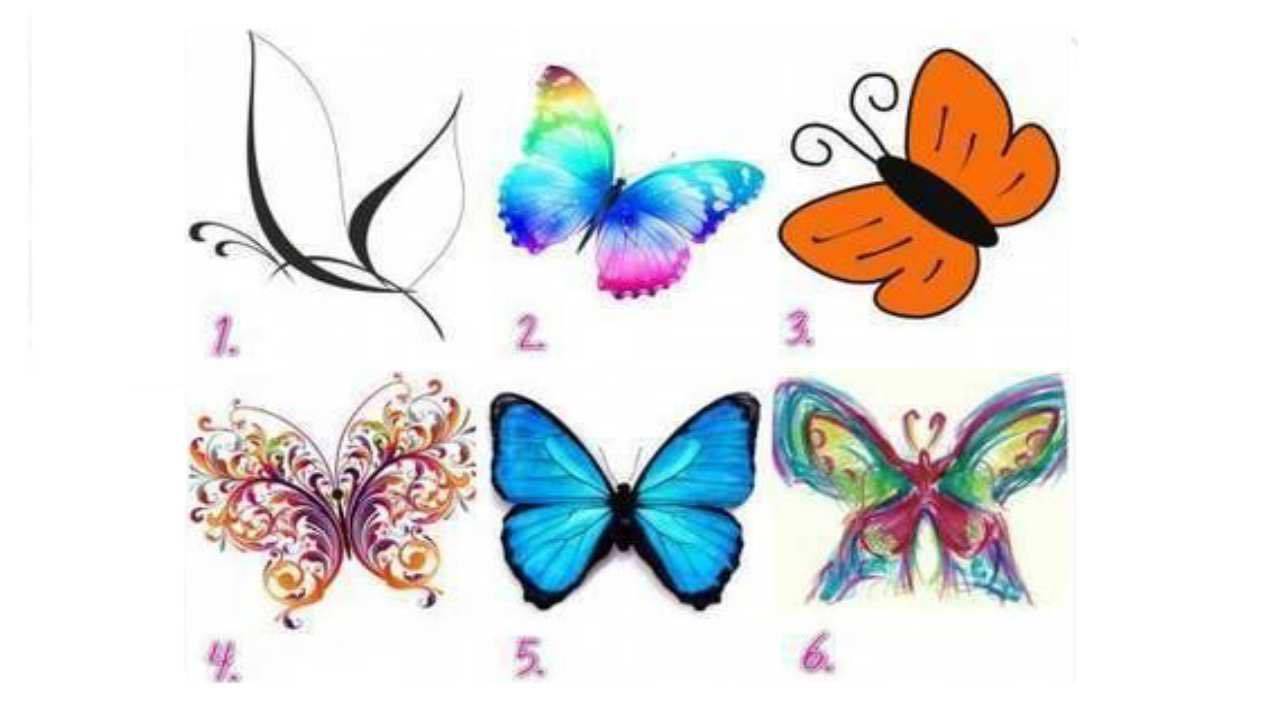 Test personalità: la farfalla che scegli tra queste 6, ti dirà chi sei