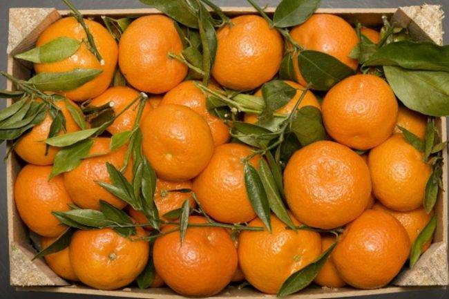 Cesto di mandarini, vitamina C