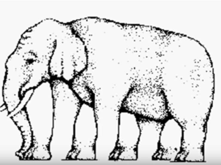 Test - illusione ottica: quante zampe ha l'elefante nell'immagine?