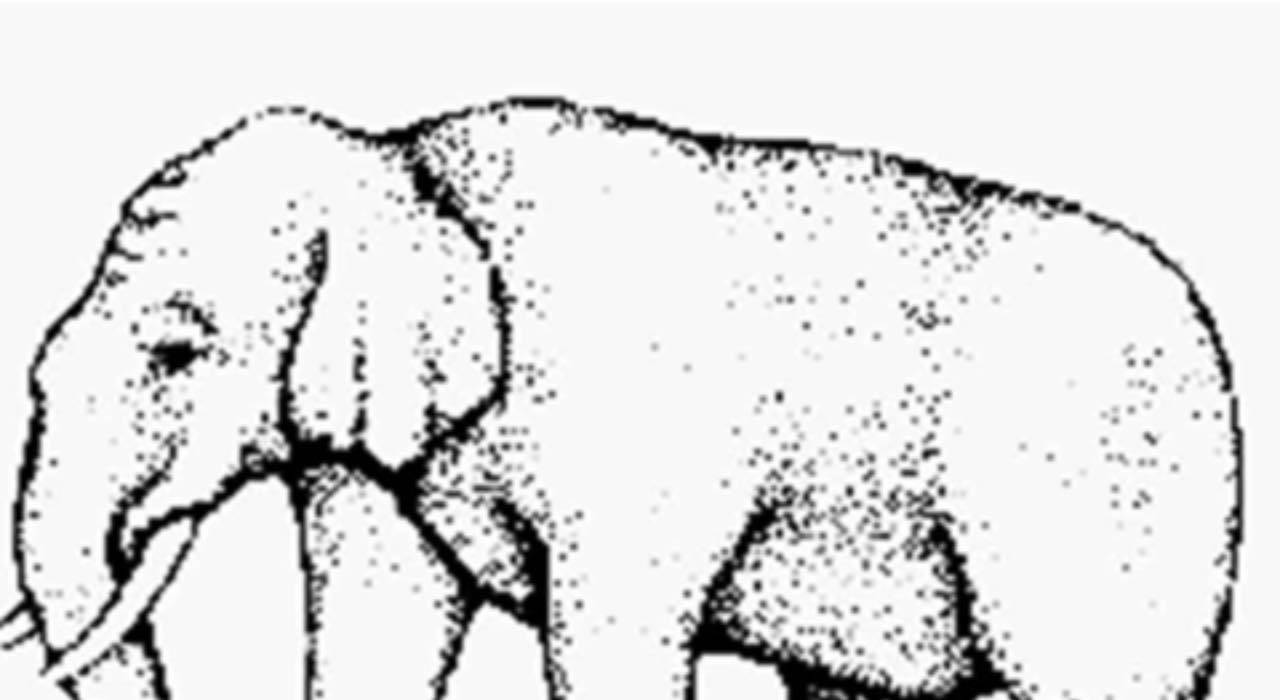Test - illusione ottica: quante zampe ha l'elefante nell'immagine?