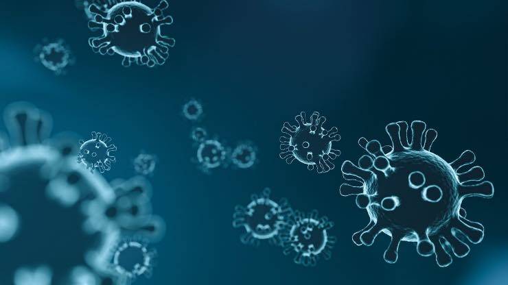Coronavirus, divieto di passeggiata e blocchi delle pattuglie: cosa fare?