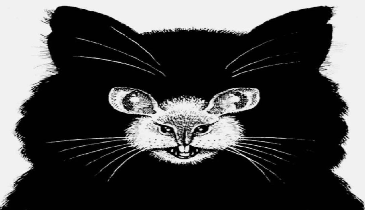 Test animali – immagine: il primo scelto dirà che tipo di persona sei