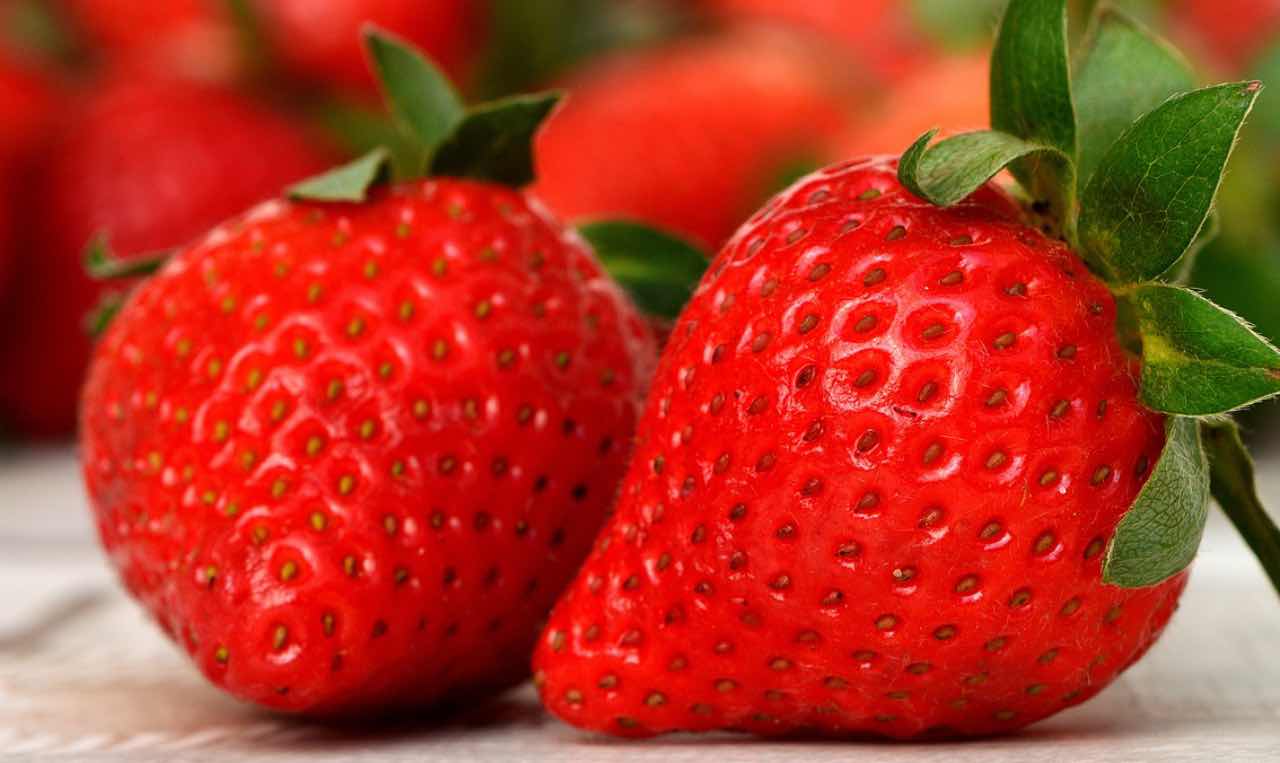 Fragole, volete una bella piantina in casa? Alcuni semplici consigliFragole, volete una bella piantina in casa? Alcuni semplici consigli