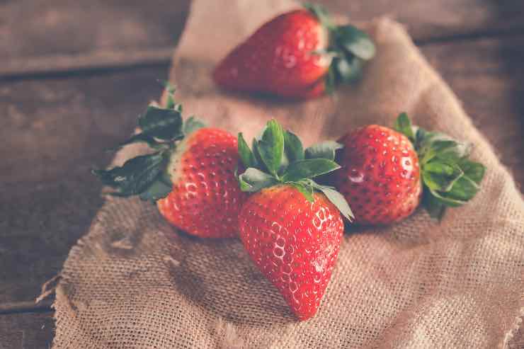 Fragole, volete una bella piantina in casa? Alcuni semplici consigli