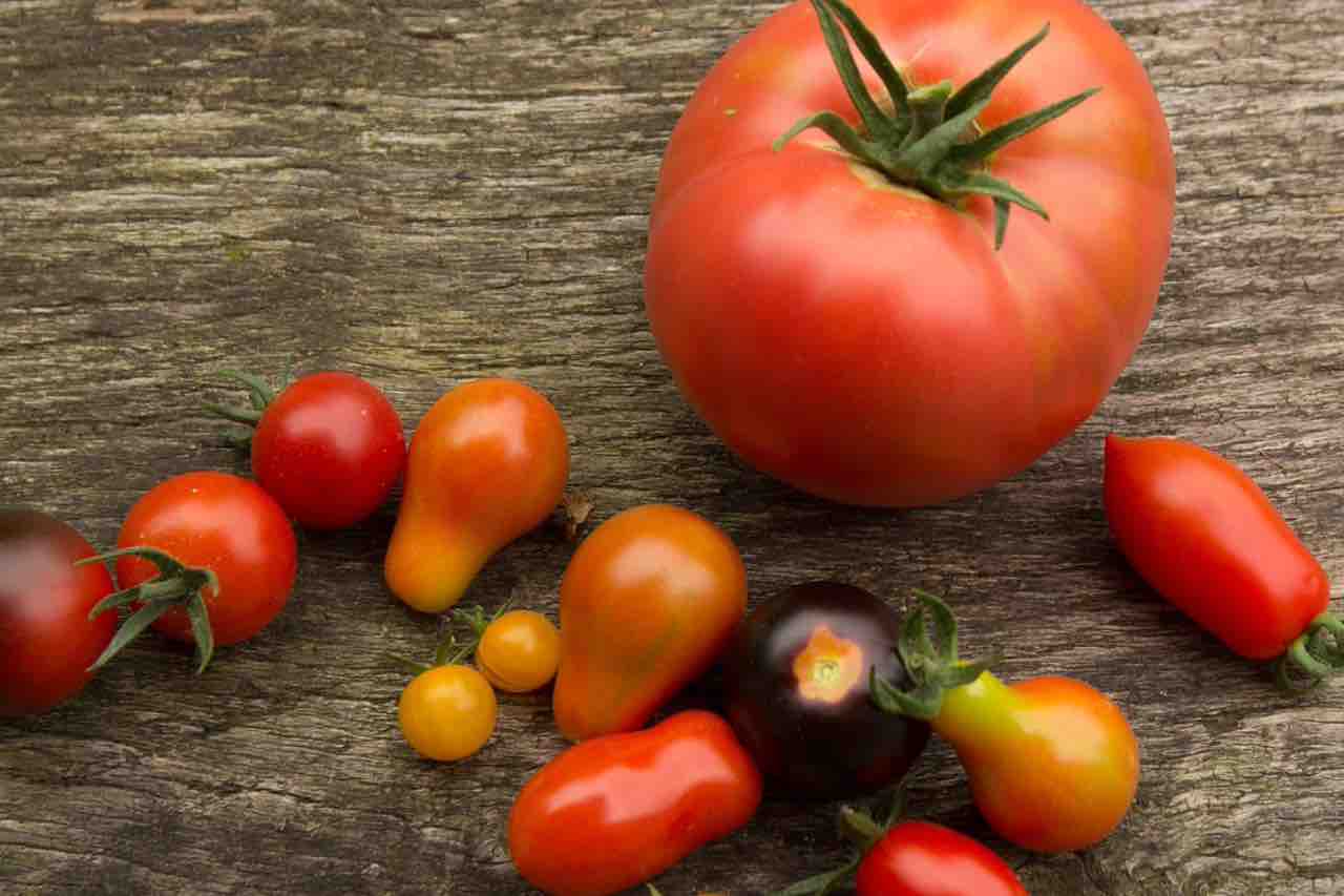 Pomodori, è vero che fanno ingrassare? La risposta che non ti aspetti