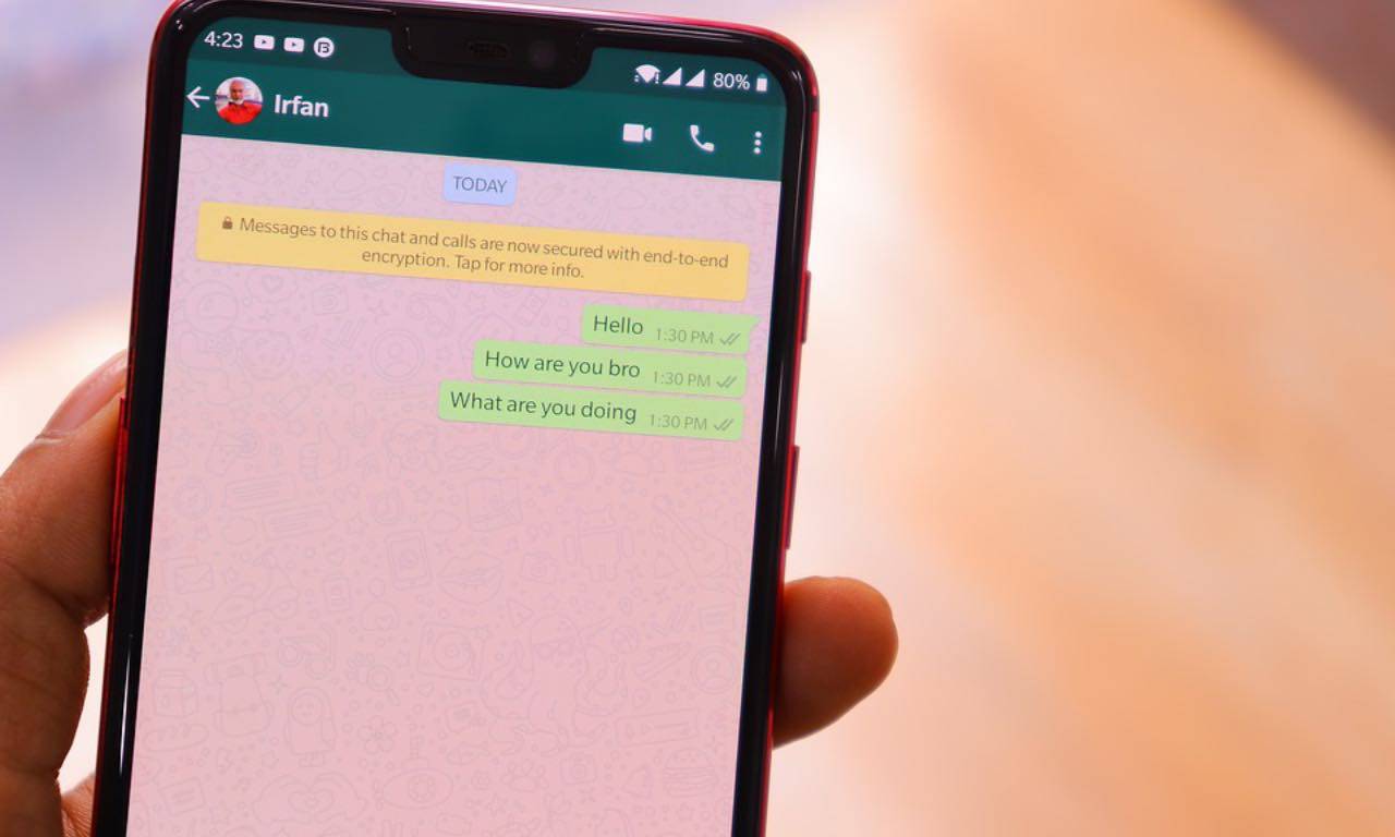 WhatsApp - quarantena, cambia tutto: novità importante per gli utenti
