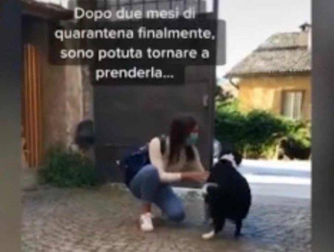 Cane e padrona (fonte Youtube)