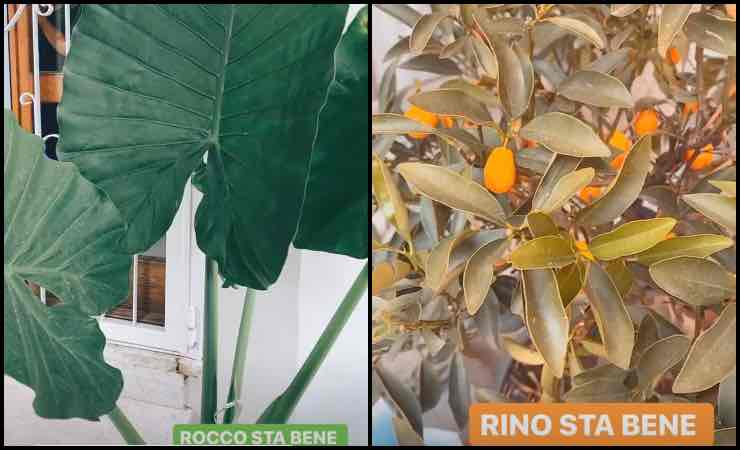 Emma marrone torna a casa: ad attenderla i suoi due "uomini"