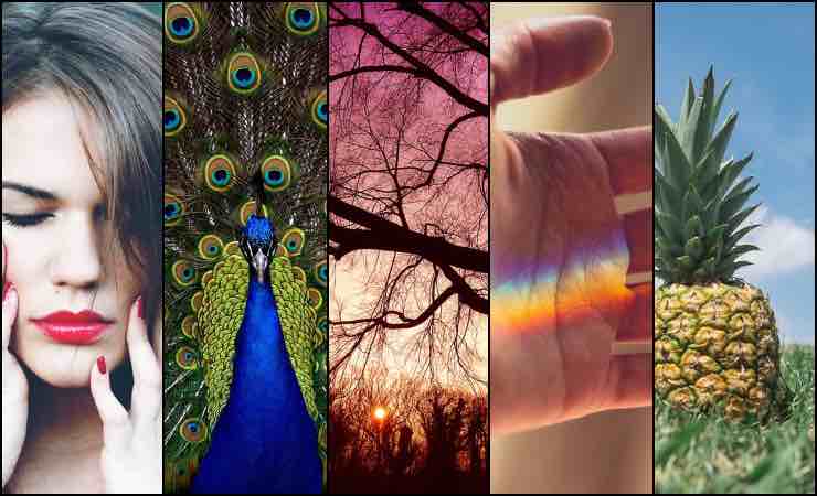 Test personalità: la prima figura che vedi svela il desiderio nascosto