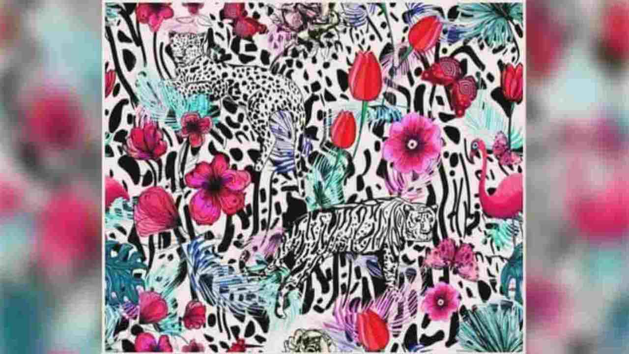 Test personalità, immagini e colori: quale l'animale che vedi per primo?