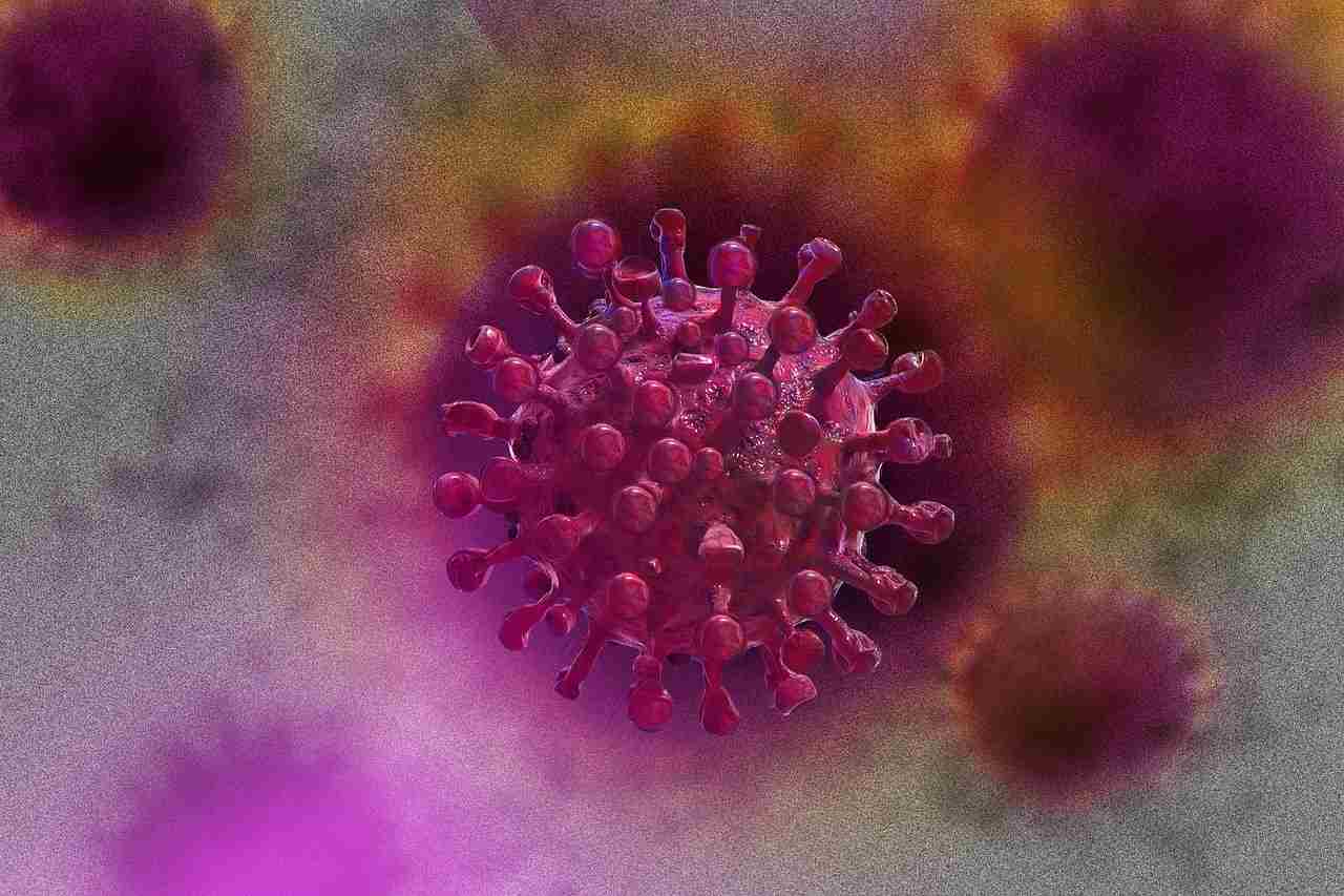 coronavirus