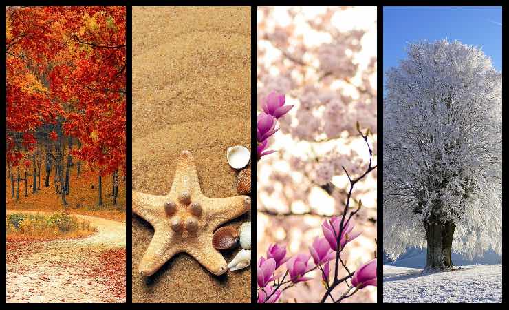 Test personalità, immagini e colori: qual è la tua stagione preferita?