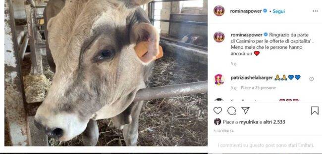 Il Toro Casimiro (fonte Instagram @rominaspower)