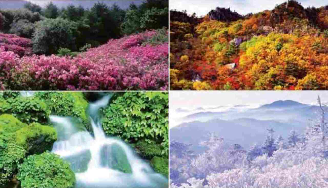 Test personalità, immagini e colori: qual è la tua stagione preferita?